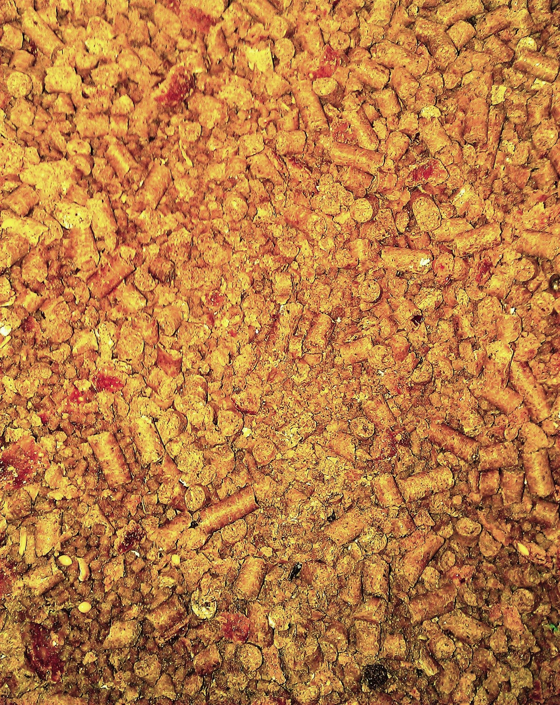 Magura 9 23 - 23 nov. - 1.jpg